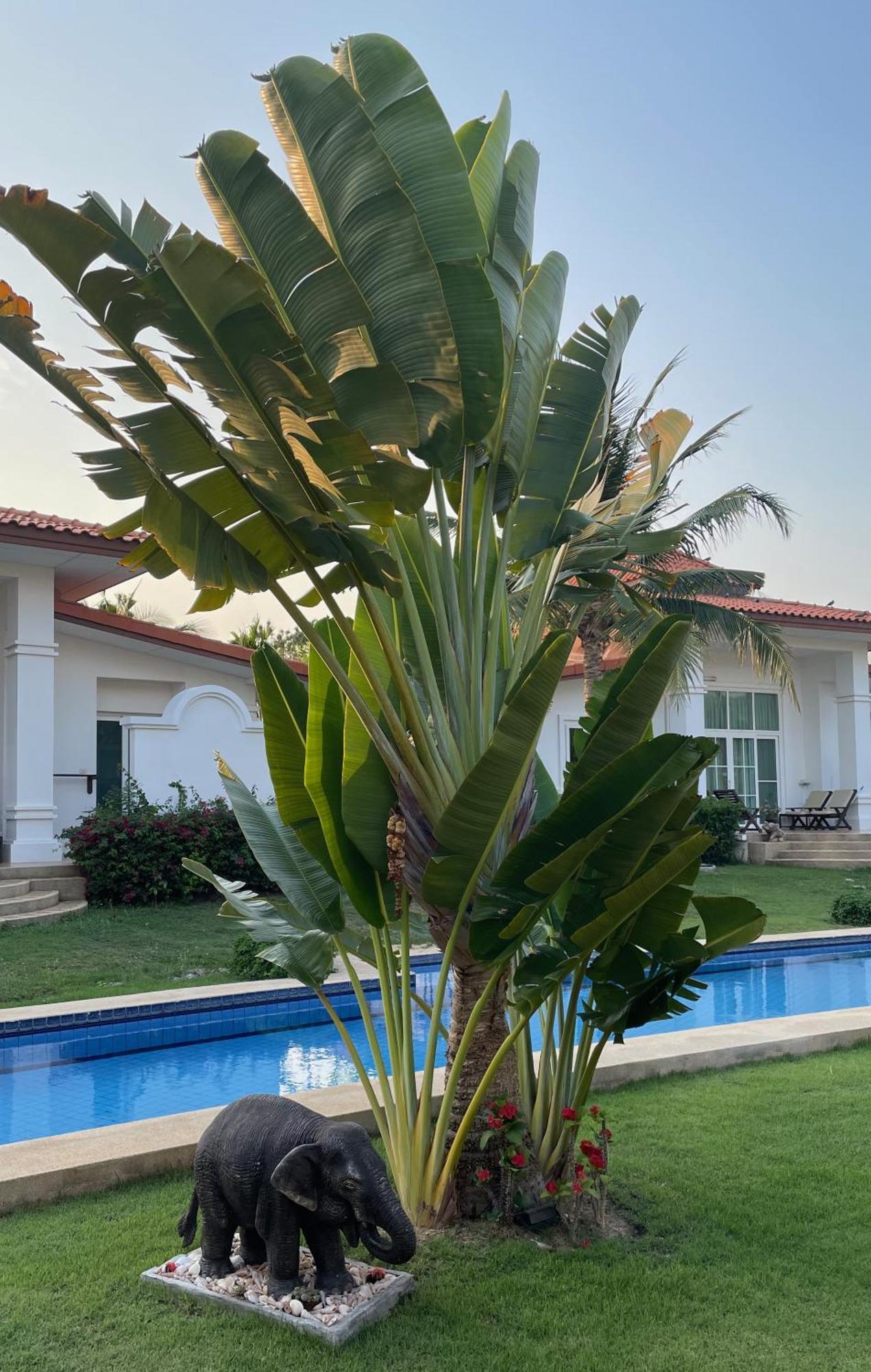 Villa Bougainvillea HHQ Exteriör bild